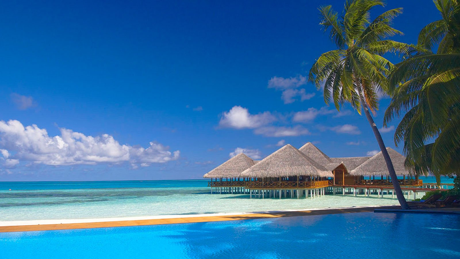 maldives tourism dubai uae